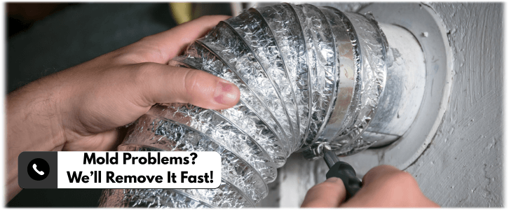 Air Duct Mold Removal in Avondale AZ