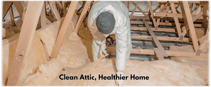 Attic Cleaning Avondale AZ