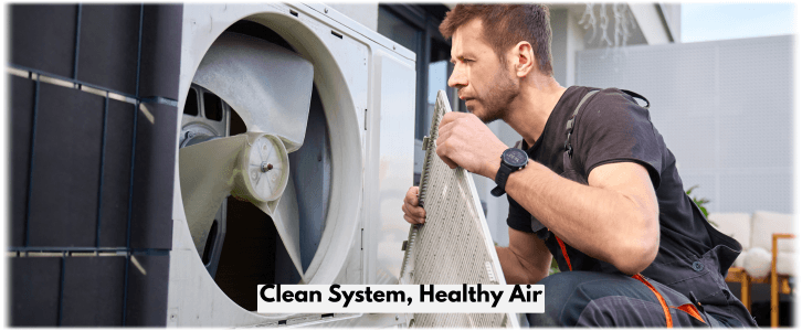 HVAC Mold Removal Avondale AZ